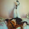 lena_kitsune Altpins Profile Picture