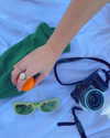 lexifigoras Altpins Profile Picture