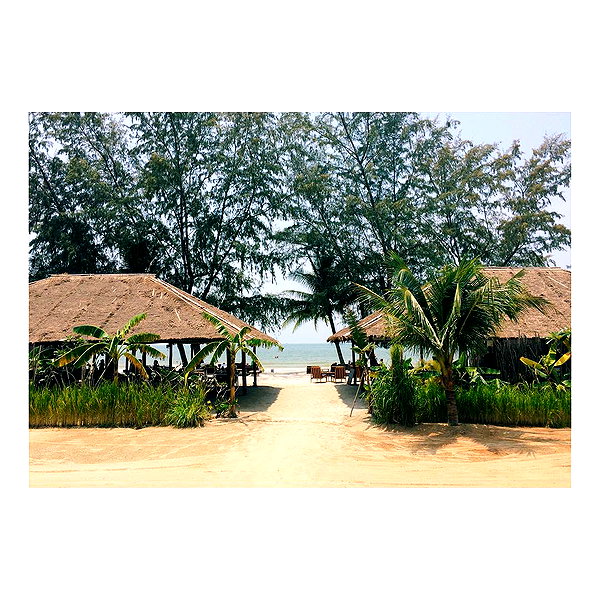 lianaayoun instagram image archive image