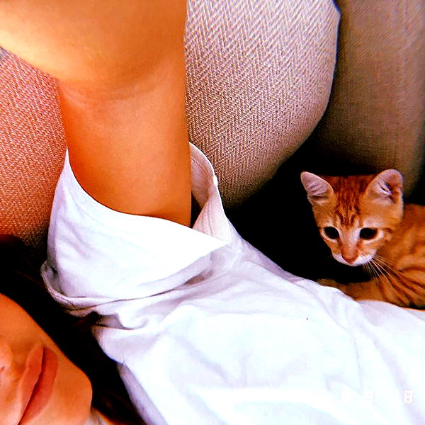 lianaayoun instagram image archive image