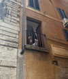 lianaayoun Altpins Profile Picture