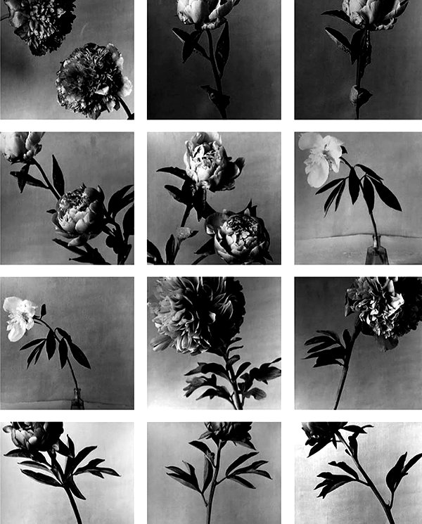 lianaayoun instagram image archive image