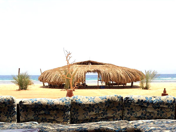 lianaayoun instagram image archive image