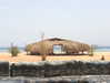 lianaayoun Altpins Profile Picture