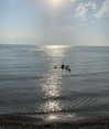 lianaayoun Altpins Profile Picture