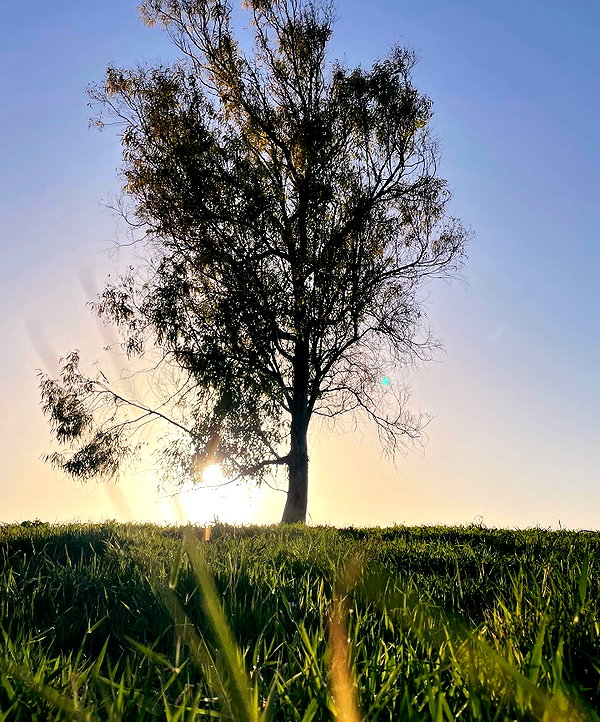 lianaayoun instagram image archive image