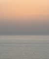 lianaayoun Altpins Profile Picture