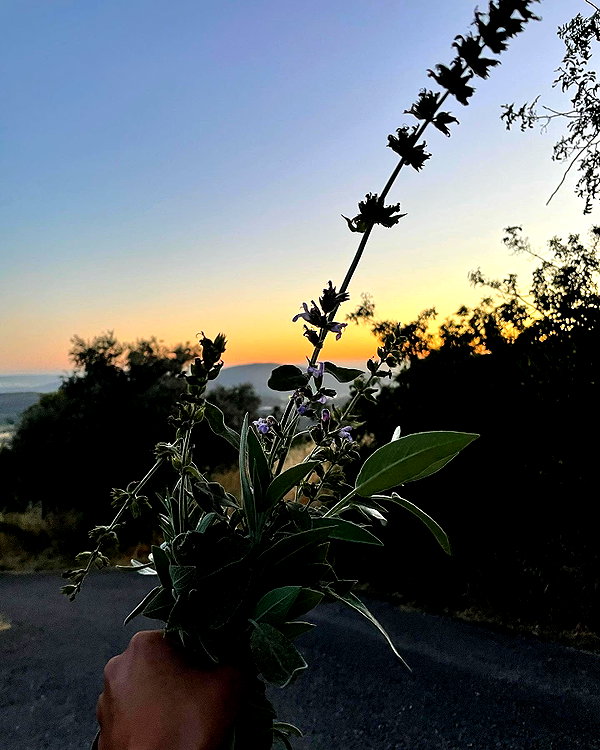 lianaayoun instagram image archive image