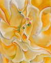 lianaayoun Altpins Profile Picture