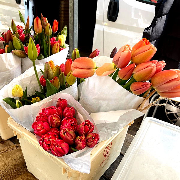 lianaayoun instagram image archive image