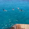 lianaayoun Altpins Profile Picture