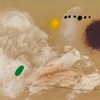 lianaayoun Altpins Profile Picture