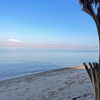 lianaayoun Altpins Profile Picture