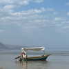 lianaayoun Altpins Profile Picture