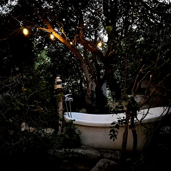 lianaayoun instagram image archive image