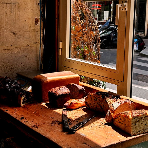 lianaayoun lianaayoun archive image