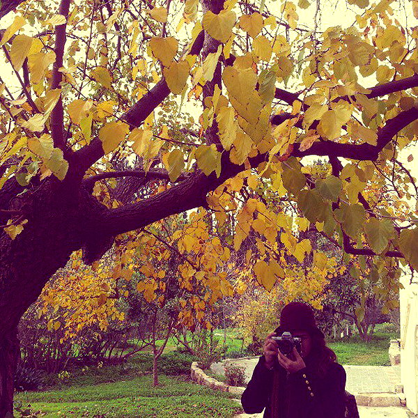 lianaayoun instagram image archive image