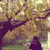 lianaayoun Altpins Profile Picture