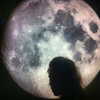 lianaayoun Altpins Profile Picture