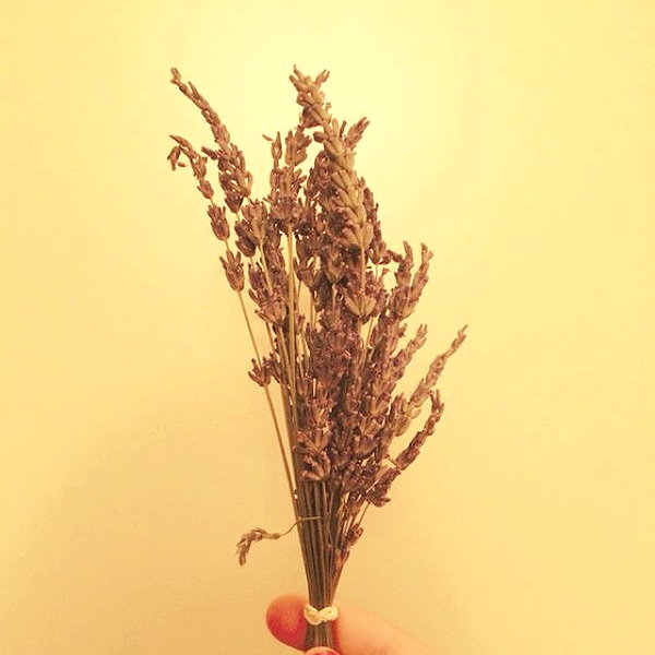 lianaayoun instagram image archive image