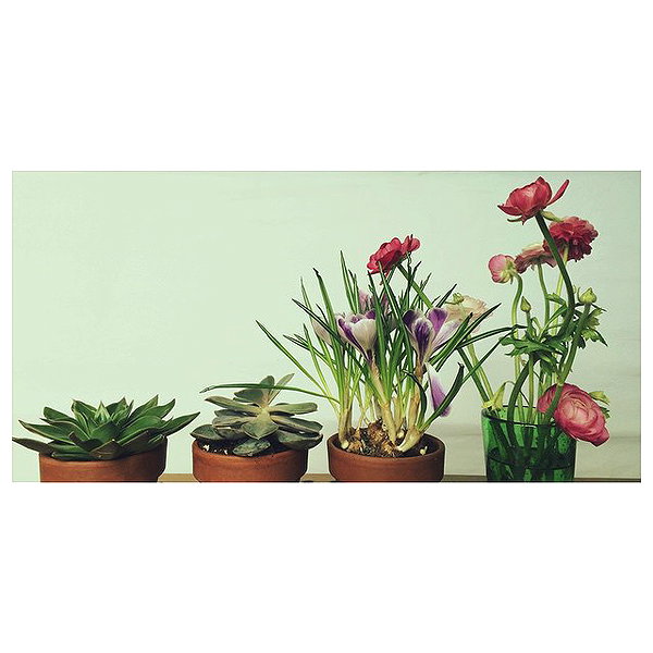 lianaayoun instagram image archive image