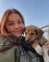 liar.lu Altpins Profile Picture