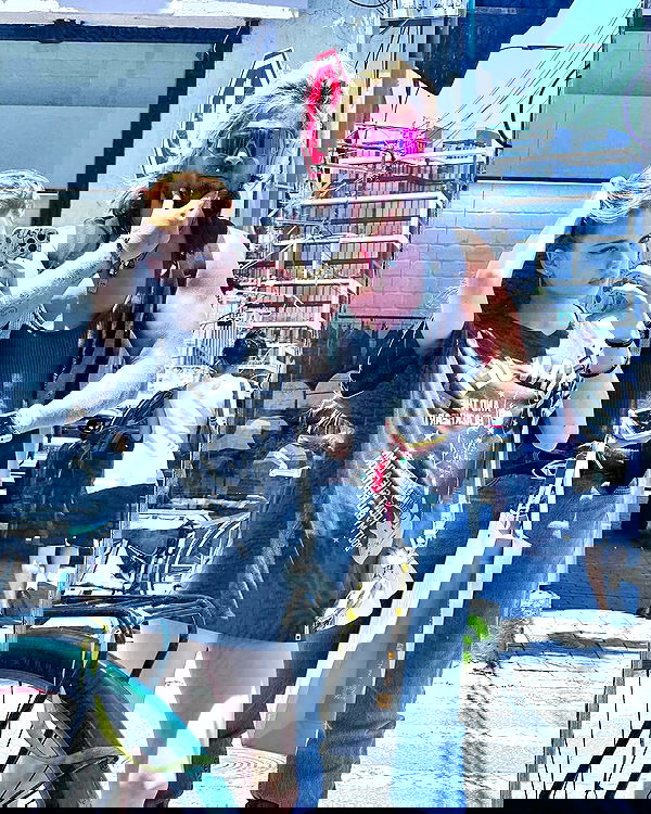 liashaked liashaked archive image