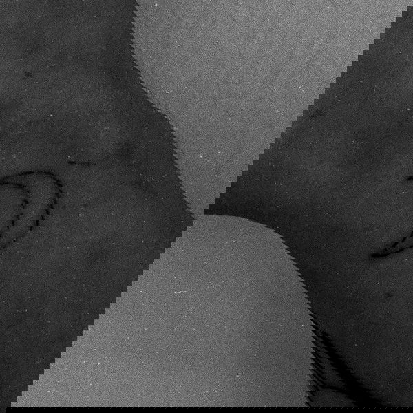 liashaked liashaked archive image