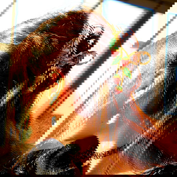 liashaked liashaked archive image