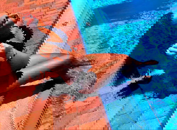 lielmazor_ image ~ Altpins