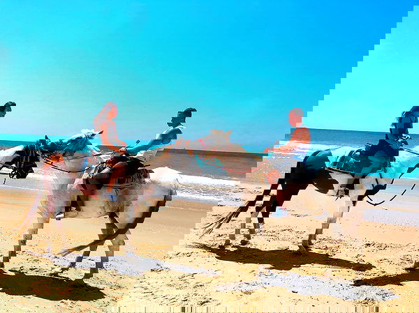 lielmazor_ image ~ Altpins