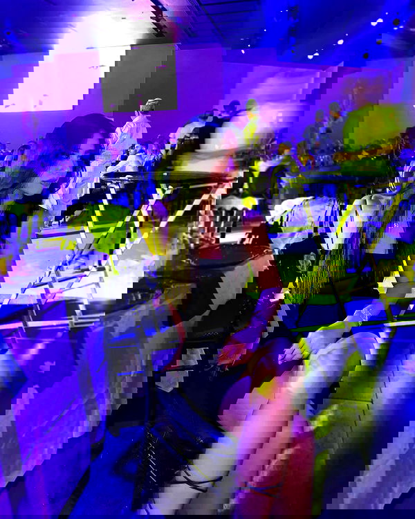 lielmazor_ image ~ Altpins