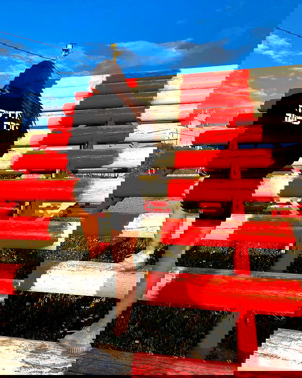 lielmazor_ image ~ Altpins