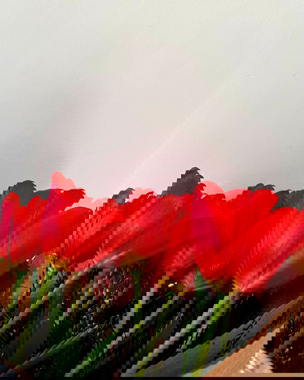 lielmazor_ image ~ Altpins