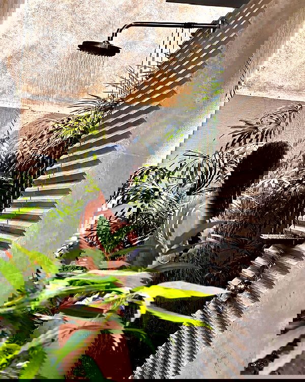 lielmazor_ image ~ Altpins