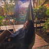 liem_sadan Altpins Profile Picture