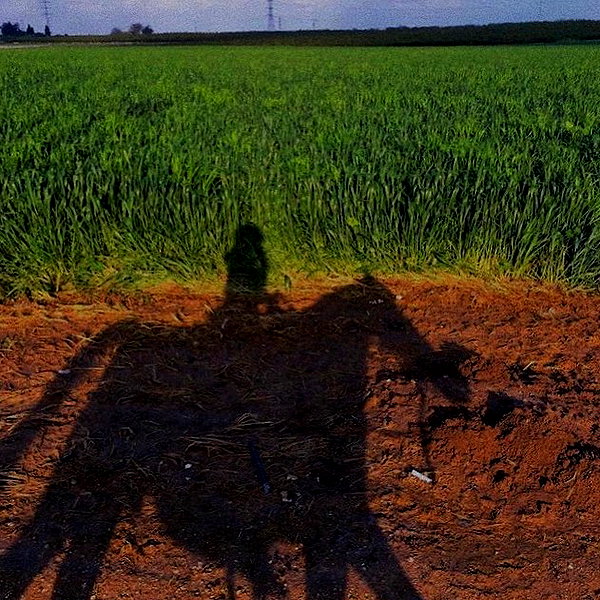 liem_sadan instagram image archive image