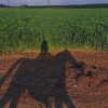 liem_sadan Altpins Profile Picture