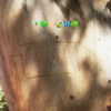 liem_sadan Altpins Profile Picture