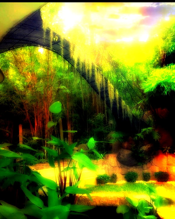 liem_sadan instagram image archive image