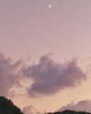 liem_sadan Altpins Profile Picture