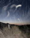 liem_sadan Altpins Profile Picture