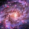 liem_sadan Altpins Profile Picture