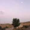 liem_sadan Altpins Profile Picture