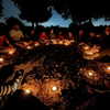 liem_sadan Altpins Profile Picture
