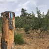 liem_sadan Altpins Profile Picture