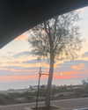liem_sadan Altpins Profile Picture