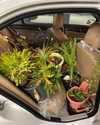liem_sadan Altpins Profile Picture