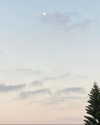liem_sadan Altpins Profile Picture