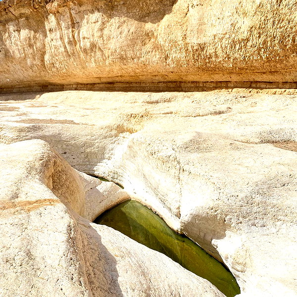 liem_sadan instagram image archive image